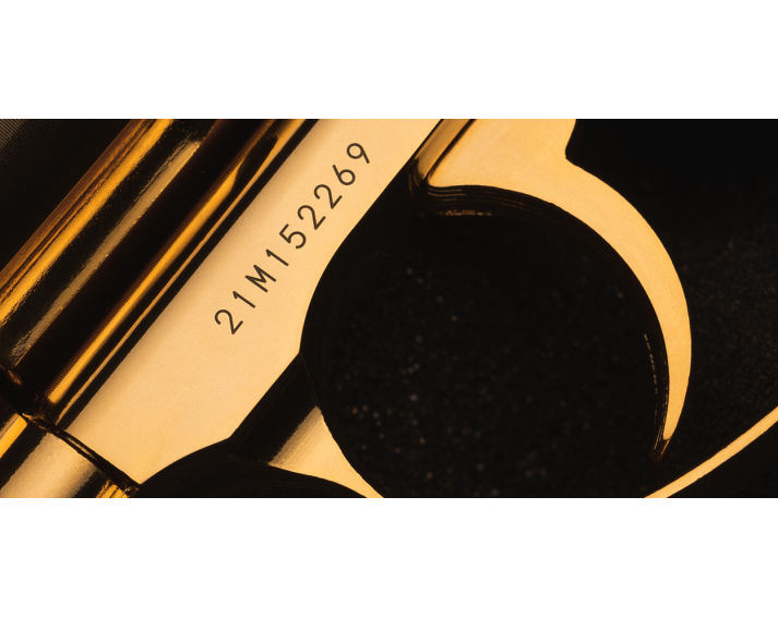 Revolver Dan Wesson Edición Especial 2,5" Gold - 4,5 mm Co2 Bbs Acero